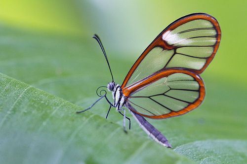 挽回感情为什么要做和合术?和合术有什么用
