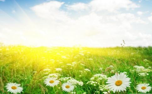 属蛇的佩戴禁忌