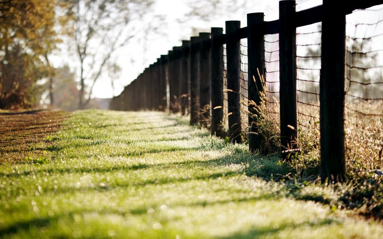 范冰冰八字贵妃命被借运气了