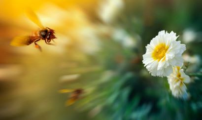 杨懿轩名字的含义带懿字的好名推荐？