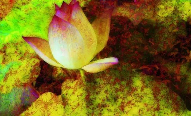 遭遇失恋 和合术用男女的头发怎么做法事