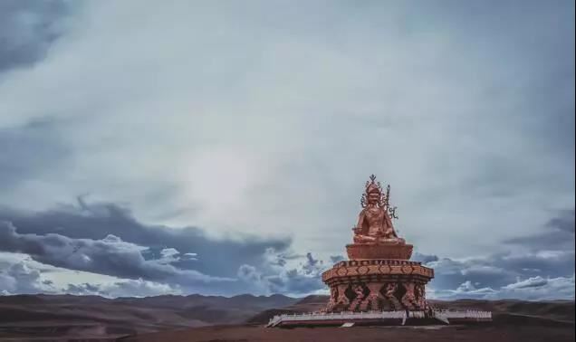 猪和鸡相配婚姻如何 适合在一起吗？