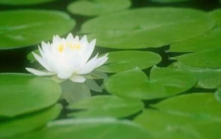 女人哪里长痣好， 手心有痣不缺钱？