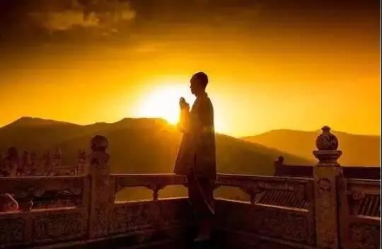 朋友说种生基改事业运开运的效果是最好的