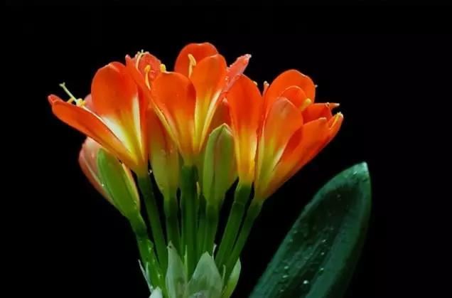 巨蟹男恋爱时的表现，巨蟹男谈恋爱时的细节？