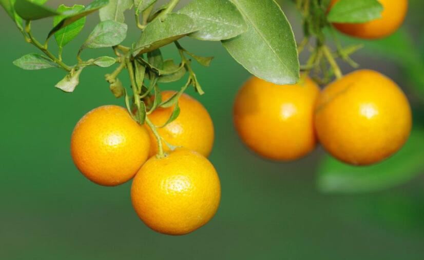 印堂发黑是什么原因，印堂发黑是什么征兆风水？