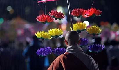 一起来看流星雨星座2一起又来看流星雨2