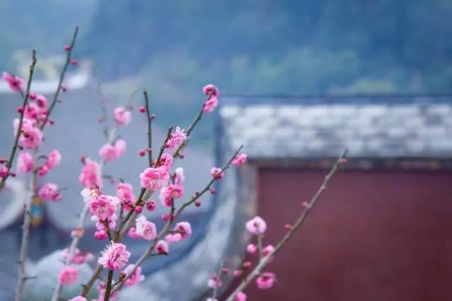 和合符对哪种人不起作用 这几类即使是瞒过师傅做了和合也无用