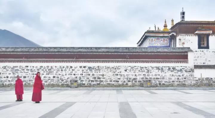 名字女孩陈姓怎么取