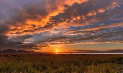 女孩子取名诗经楚辞好吗 女孩子名字四字大全两个字霸气