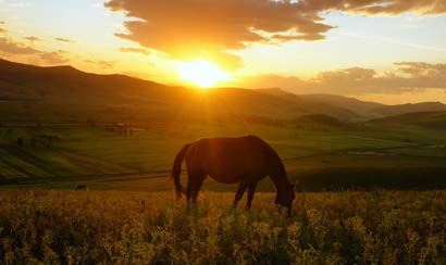 2003年的羊是什么命相