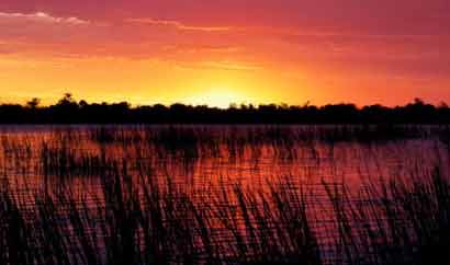 相合日柱和合适日柱有啥区别， 合婚是看日柱还是年柱？