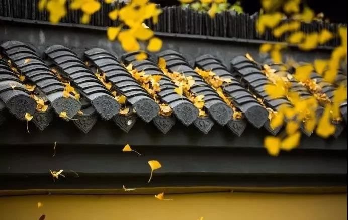 异性缘好生肖女详解 这3种属相不用为异性缘忧愁