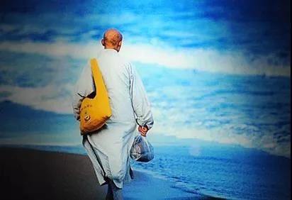 乌龟死了有什么预兆，乌龟死了有什么忌讳？