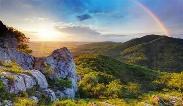 一见如故形容什么生肖？一见如故打一个动物