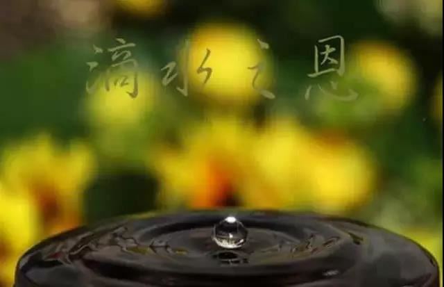 狮子女今日运势女