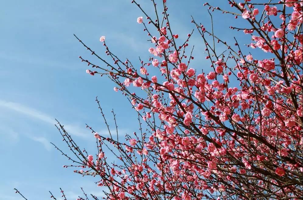 可以用作男孩名字的成语大全 可以用作男孩名字的成语有哪些