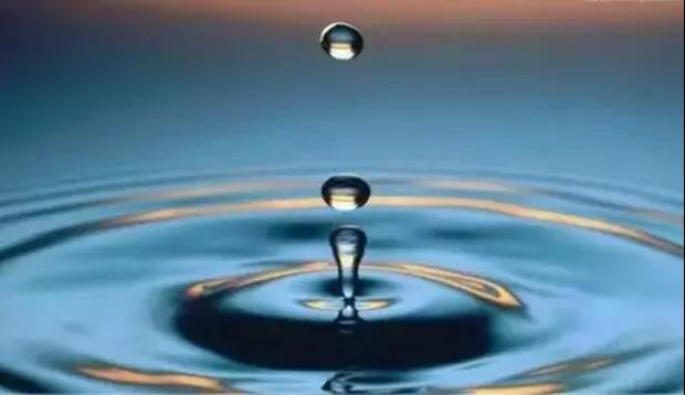 门口放什么植物好风水