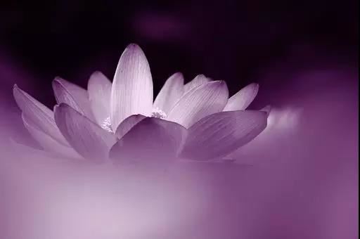 哪些星座女最怕怀孕？怎样预防意外怀孕？