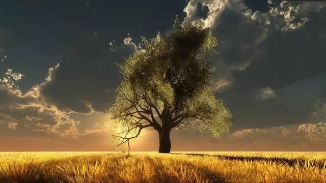 安姓女孩起什么名字，安姓女孩取什么名字好？