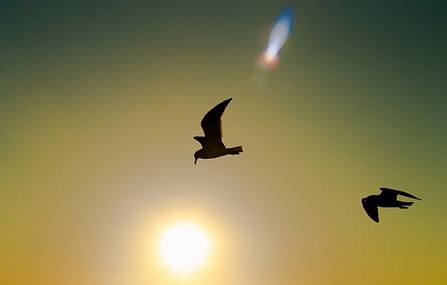 我们做了和合术梦兆有哪些？