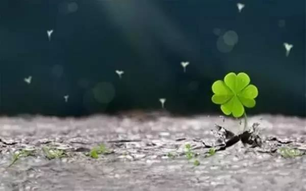 推敲生死掌诀图