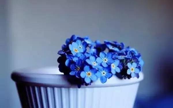 姓龙的男宝宝属虎取什么名字好