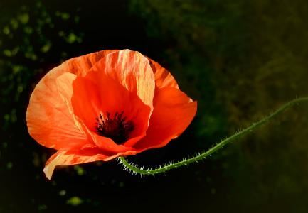 从哪里能看出人有福之人， 福气好的人有哪些表现？