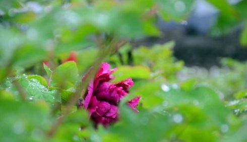 土命分为哪几种土，性格分别如何？