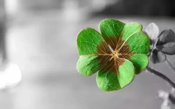 高姓男生好听的名字