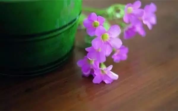 好听有内涵带雨字的女孩名字