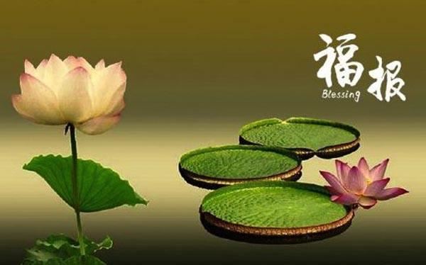 生辰八字算命取名大全