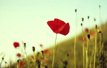 上升星座是什么意思怎