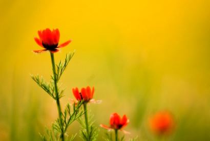 一九九七年是什么命格呢女