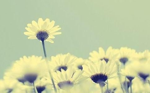 如何选购回心转意符？回心转意符评语推荐！