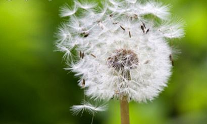 2003年5月属羊是什么命运