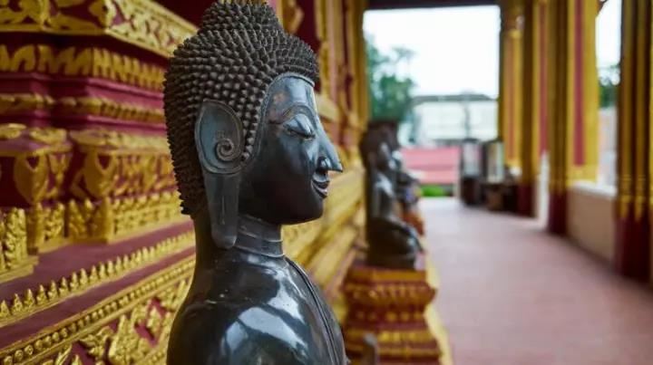 甲木女吸引什么男人，甲木女最后都嫁给谁了？