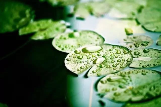 金姓小女孩儿起名大全集