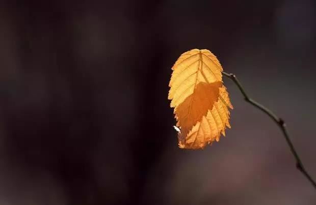 女人十大富贵痣， 后背长痣一生无忧？