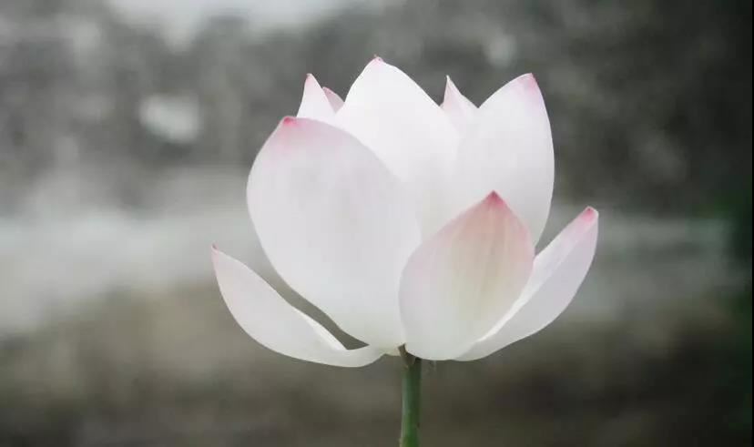 霸气名字冷酷超拽俩个字 霸气名字 冷酷 好听二字女生