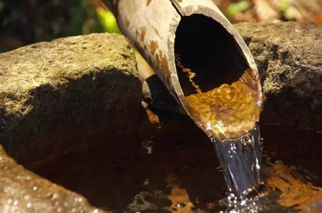 属鸡生的猴宝宝命运怎么样
