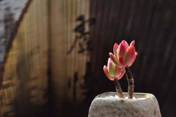 生辰八字取名测算吉凶