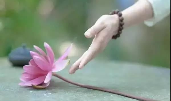 男宝宝杨姓取名大全两个字霸气