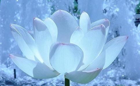 女人十二星座爱爱技巧