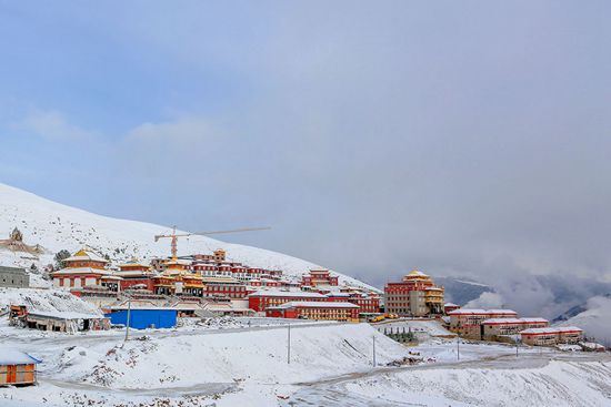 68年猴的属相是什么命运呢女