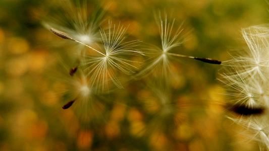 百家姓的名字都有什么