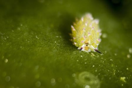 道家的和合术真的灵 能帮你挽回破碎的感情