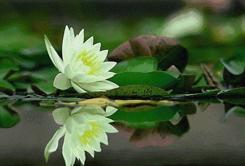 搬新家对联内容最忌乱脚