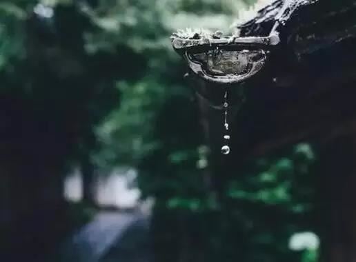 中大奖的人八字中带什么