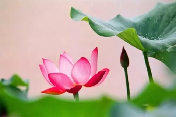 三才最佳配置表祥说